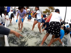 【youtube】魚のつかみ取り　小学校高学年（4年生～6年生）の画像