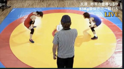 【女子プロレス】本物アスリート系女優たちがアマレスで戦う！【エロ動画おすすめ】の画像