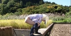 【おしっこ】畑で野良ションしていた熟女に男が襲いかかる!【エロ動画おすすめ】ヘンリー塚本の画像