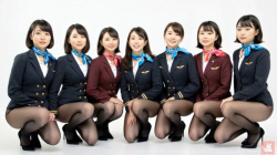 美人CAさん達が黒いストッキング姿を見せてくれたようですwwwの画像