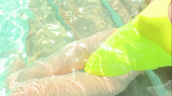 【アイドル】高身長モデルの蛍光イエロー競泳水着に癒される?水中カメラ×ローアングル【真島なおみ】の画像