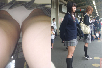 JKのパンチラ画像をクンカクンカしながらシコりたい奴ｗｗｗｗｗｗｗの画像