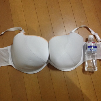 何故か興奮しない、巨乳おっぱい詰め込んでる糞でかブラジャーｗｗｗｗｗｗｗｗｗの画像