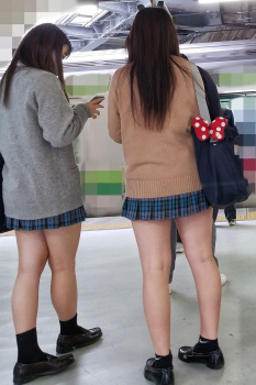 最近のJK、太ももが太くていやらしいｗｗｗｗｗｗｗｗｗｗｗｗｗの画像