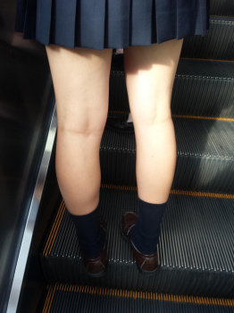 エスカレーターでは女子高生のパンチラ見放題という事実ｗｗｗｗｗｗｗｗｗの画像