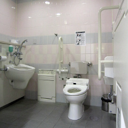 【多目的トイレ】公衆便所で性交･露出する素人たちのエロ画像の画像