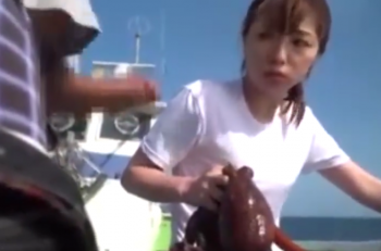 【エロ動画 人妻】 巷では有名な美人女性漁師の船に乗ってチ〇コを見せた結果wwwの画像