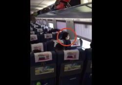 【エロ動画 素人】 電車の中で騎乗位セクロスするクレイジーな中国人カップルwwの画像