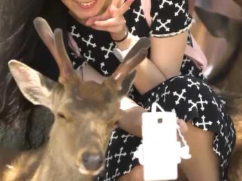 自撮り中にパンチラ！シカと一緒に撮影してると黒パンツを撮影されてる無防備娘の画像