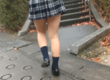 登校中の制服JK少女スカートめくりパンチラ盗撮~縞々パンティ隠し撮りの画像