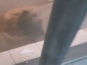 【盗撮動画】口外厳禁！即削除！他人宅の浴室窓から全裸お姉さんを覗き撮り！！の画像