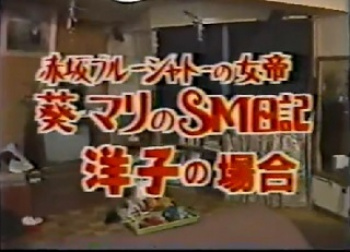 葵マリのSM日記　洋子の場合の画像
