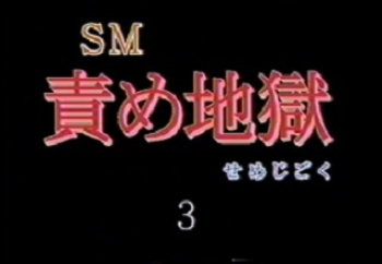 SM 責め地獄 3 の画像
