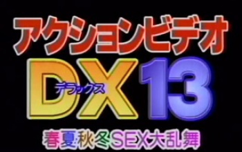 アクションビデオDX13　春夏秋冬ＳＥＸ大乱舞の画像