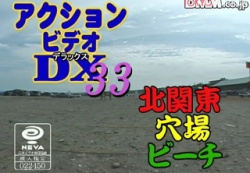 アクションビデオDX 33　北関東穴場ビーチの画像
