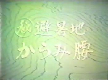 裏ビデオ　㊙避暑地からみ腰　無修正の画像