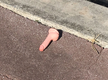 【悲報】ディルドさん、高速道路でとんでもない大惨事を引き起こすの画像