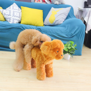 【悲報】犬用オナホが販売されてしまうの画像