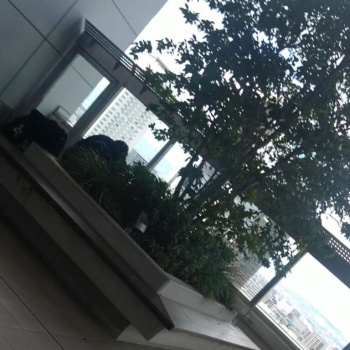 【実況中継】こんな昼間から野外で手マンしてるカップルおって草ぁ！！の画像
