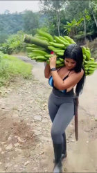 【動画】バナナ農家、ドスケベすぎるの画像