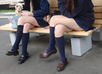 【画像】脚組み女子高生のふとももに何ぶちこみたい？の画像
