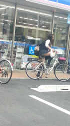【画像】スカートヒラヒラさせて自転車乗る女子高生の下半身に釘付けにの画像