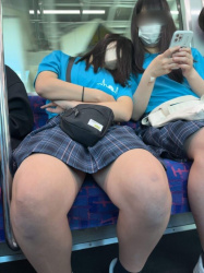 【画像】電車でこういう制服ＪＫちゃんの正面座っても怪しまれない？ｗｗの画像