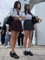 【画像】街で毎朝こんな制服JK見れるなら頑張れるよなwwの画像