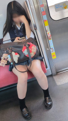 【画像】電車でこういう制服女子高生の対面にポジ取って盗撮奴wwの画像