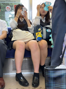 【画像】対面か正面で悩む電車内でちょこんと座る制服ＪＫちゃんの画像