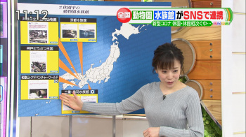 江藤愛   エロニットおっぱい　ひるおび　２００３１９の画像