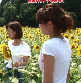 加藤綾子「白いブラジャーが透けるのがエロいんですか？」の画像