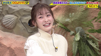 岩田絵里奈　おっぱい　世界まる見え　２１１２１３の画像