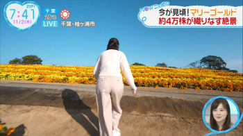 杉原凛　エッチな尻　ZIP!   ２３１１０９の画像
