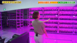小室瑛莉子 パン線 地球環境大賞2025 250619の画像