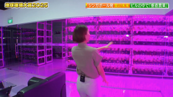 小室瑛莉子　パン線　地球環境大賞２０２５　２５０６１９の画像