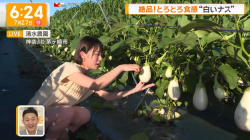 今井春花　腋チラ　サンデーモーニング　２５０８０３の画像