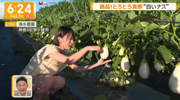 今井春花　腋チラ　サンデーモーニング　２５０８０３の画像