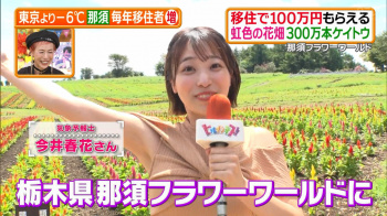 今井春花　腋見せ　ヒルナンデス　２５０９０４の画像