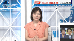 佐藤真知子　ノースリーブ　深層ニュース　２５０９２９の画像