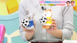 エッチでかわいい画像たち　２５１１１９の画像