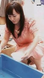 島本真衣のエロエロなパンチラ　２５１２０９の画像