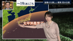 細川栞　キャミ透け　報ステ　２６０９１５の画像