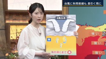 細川栞　キャミ透け　報ステ　２６１０１６の画像