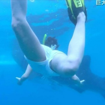 青木愛のプールに潜ってハミマン　２１０７０８の画像