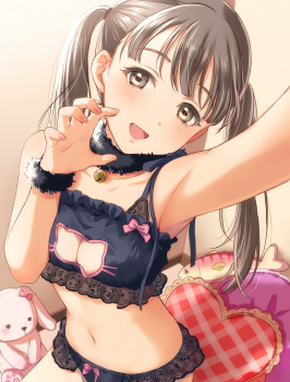 萌え萌えぷりてぃなねこランジェリー女子！　その２の画像