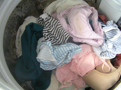 洗濯機の中の下着の匂い 外付け洗濯機・室内洗濯機のJK・JD・OL下着編の画像