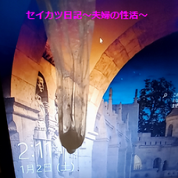 1月のこれまでの夫婦の営みの画像
