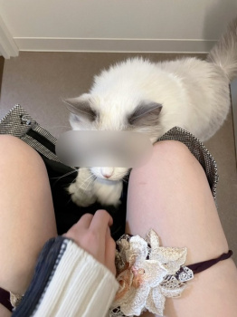 【画像あり】女さん、トイレ中の写真をTwitterに載せてしまうの画像