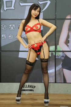 アイドルがニプレス貼ってソフマップの画像